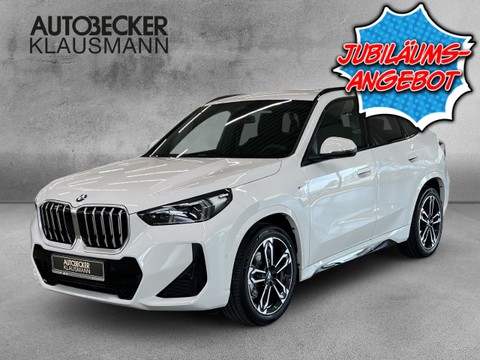 BMW X1 xDrive20 M Sport LMR 19 AD Digitales Sitze