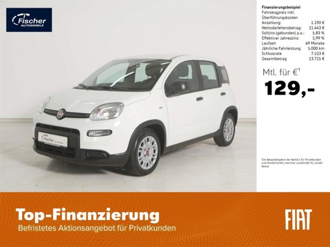 Fiat Panda 1.0 GSE