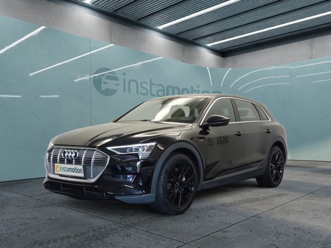 Audi e-tron 50 quattro 21 UMGEBUNGSKAMERA CONNECT