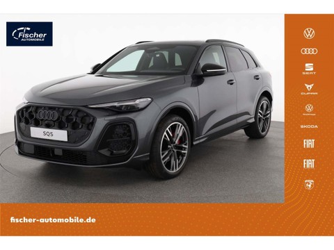 Audi SQ5 3.4 TFSI 1040 - Display
