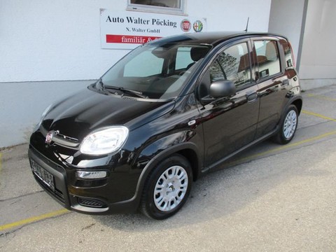 Fiat Panda 1.0 Pandina