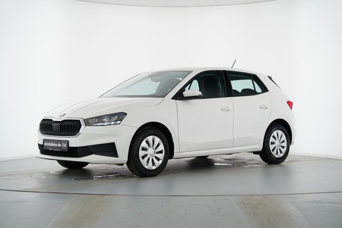 Skoda Fabia 1.0 MPI ACTIVE STAMMKUNDENFAHRZEUG