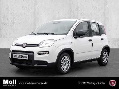 Fiat Panda Mild Hybrid City Paket Gelato Weiß