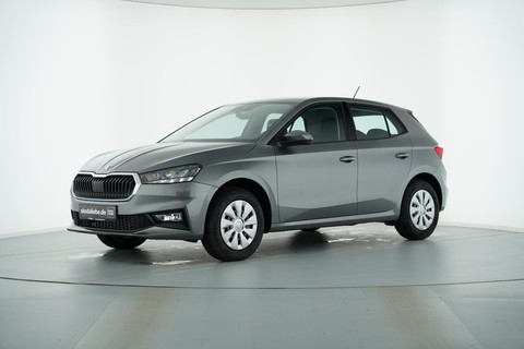 Skoda Fabia SELECTION VERFÃGBAR