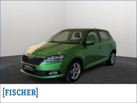 Skoda Fabia 1.0 Cool Plus hinten