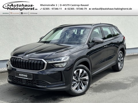 Skoda Kodiaq 2.0 TDI II Selection e Hk Alu19