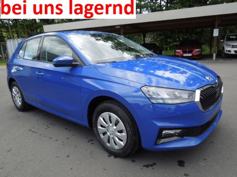 Skoda Fabia 1.0 TSI Selection