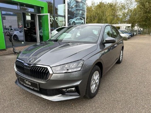 Skoda Fabia 1.0 Selection 80 5 Jahr