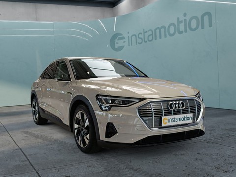 Audi e-tron SPORTBACK 50 QUATTRO 313