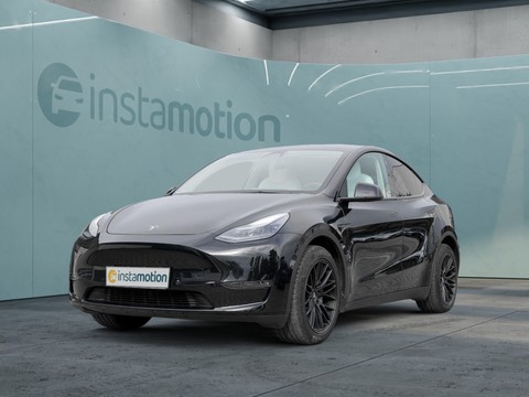 Tesla Model Y LONG RANG DUAL AWD