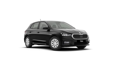 Skoda Fabia 1.0 MPI Selection Winterpaket