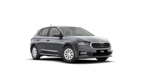 Skoda Fabia 1.0 MPI Selection Winterpaket