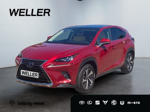 Lexus NX 300 h E-FOUR Luxury Line