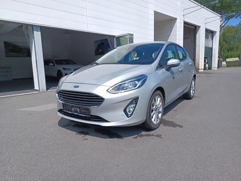 Ford Fiesta Parkassi Allwetter Service neu