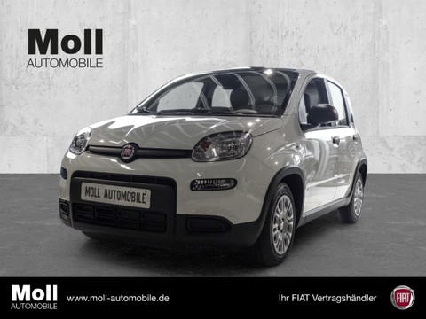 Fiat Panda Mild Hybrid City Paket Gelato Weiß