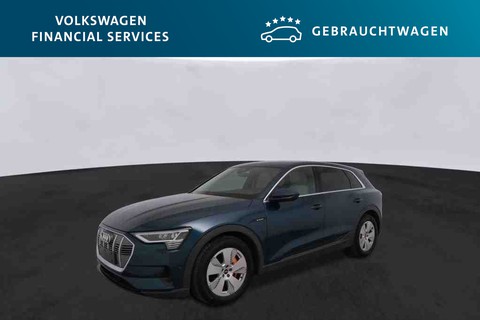 Audi e-tron Basis quattro 50 230kW Automatik