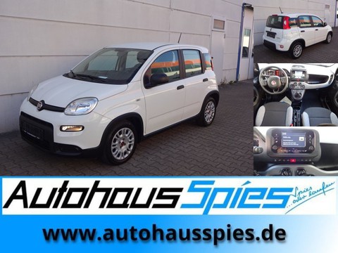 Fiat Panda 1.0 Mild Hybrid Base