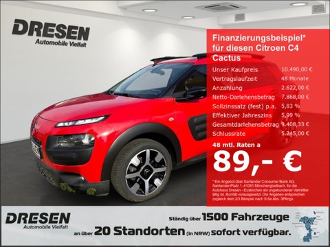 Citroën C4 Cactus 1.2 Shine ( 110 ) HINTEN