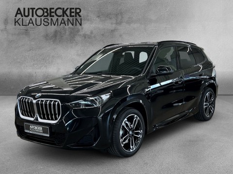 BMW X1 xDrive20d M Sport LMR 19 AD El Panodach Digitales