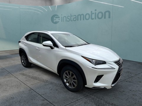 Lexus NX 300 h Business Line LSS 1