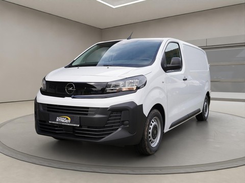 Opel Vivaro 2.0 Cargo M HecktÃren Holz Laderaum