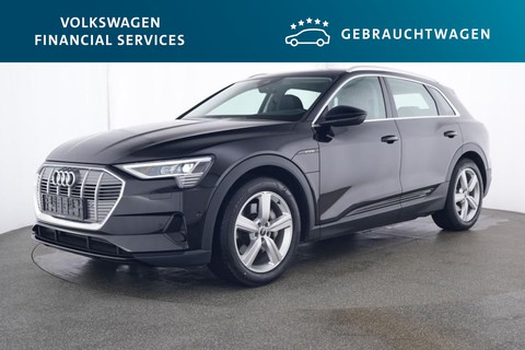 Audi e-tron Basis quattro 50 230kW Automatik