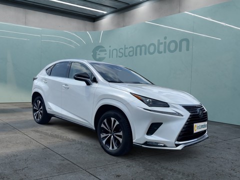 Lexus NX 300 h 300 h Style Edition Mehrzonenklima