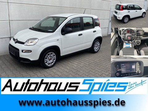 Fiat Panda 1.0 Mild Hybrid Base