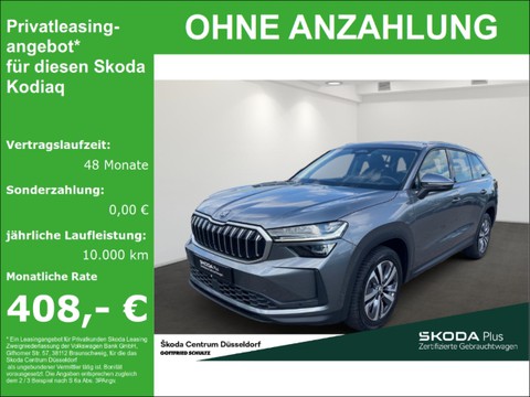 Skoda Kodiaq 2.0 TDI 142kW Selection Plus Infotainment-Paket