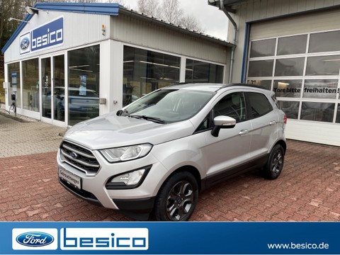 Ford EcoSport Cool&Connect WinterPak