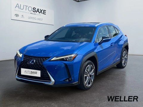 Lexus UX 300e ele Heck