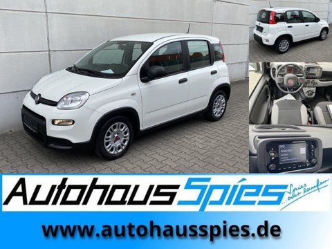 Fiat Panda 1.0 Mild Hybrid Base