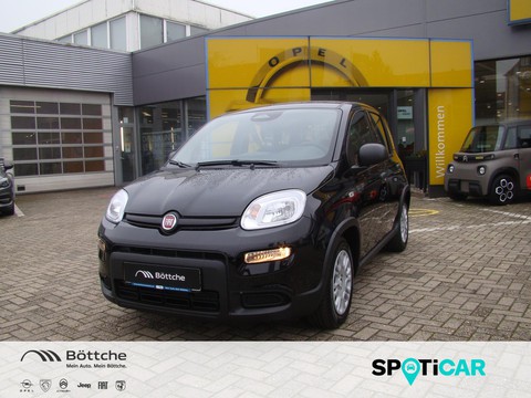 Fiat Panda Pandina MJ24
