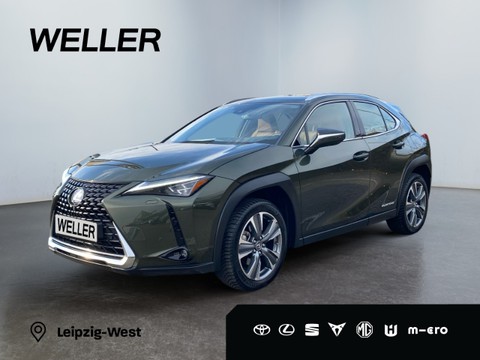 Lexus UX 300e undefined